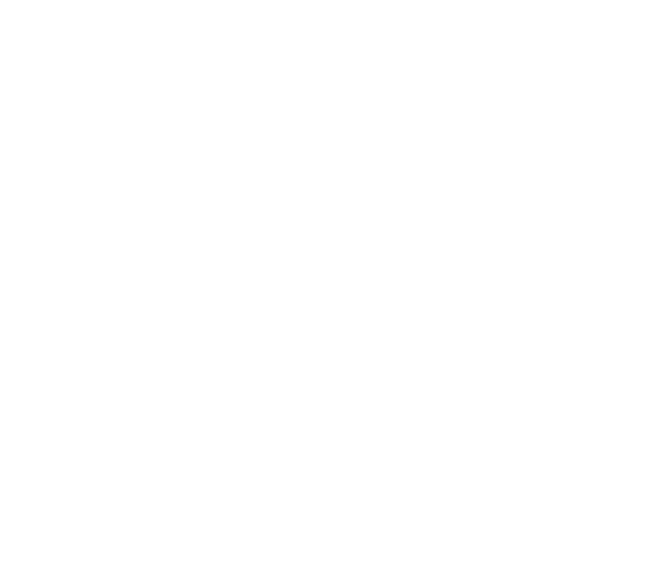 International Realty Group